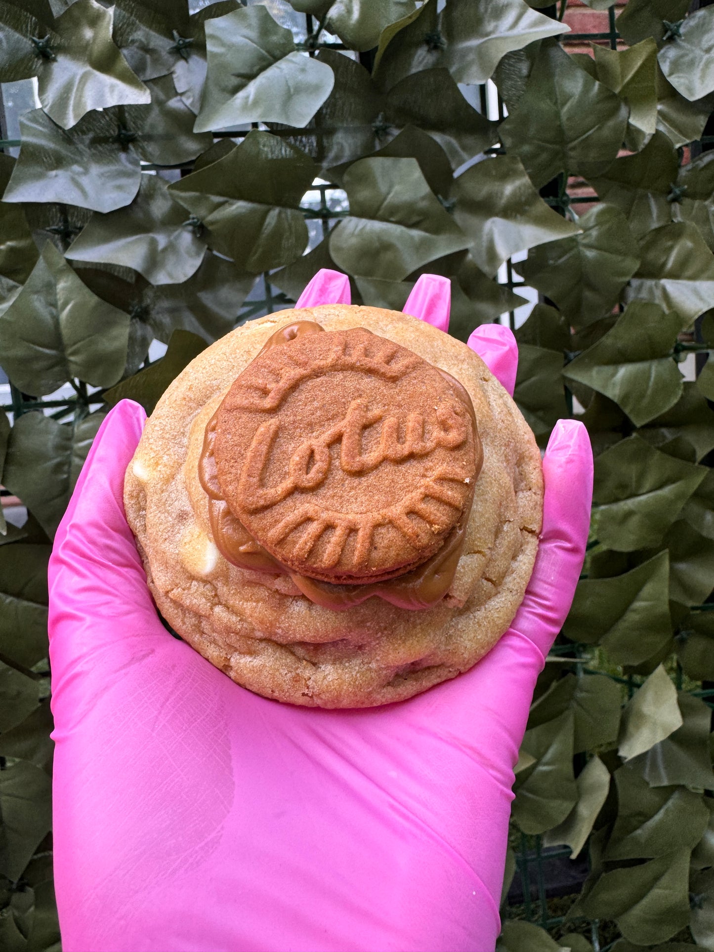 Biscoff cookie ๐ค